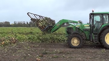 New Zealand BeetBucket