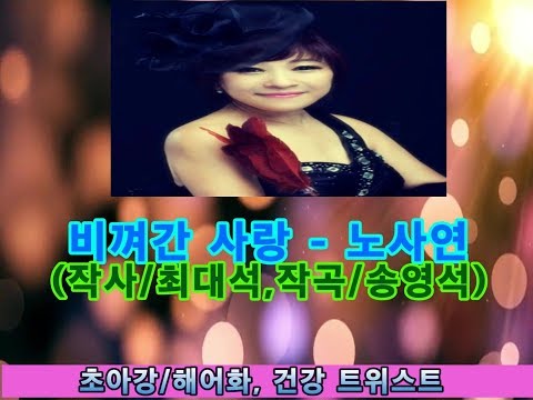 비껴간 사랑 - 노사연  (작사/최대석,작곡/송영석)