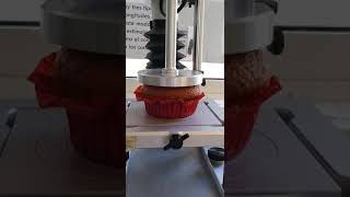 Texture Analyzer