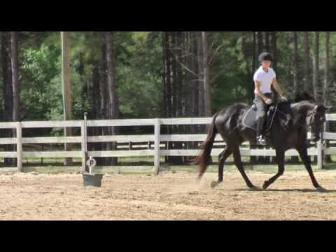 Morgan and Sandra Beaulieu clinic April 2009