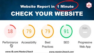 Check Website Performance, Accessibility, SEO in 1 Minute