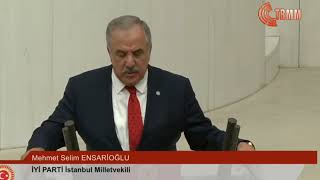 Mehmet Selim Ensarioğlu - İyi Parti İstanbul Milletvekili Yemin Konuşması