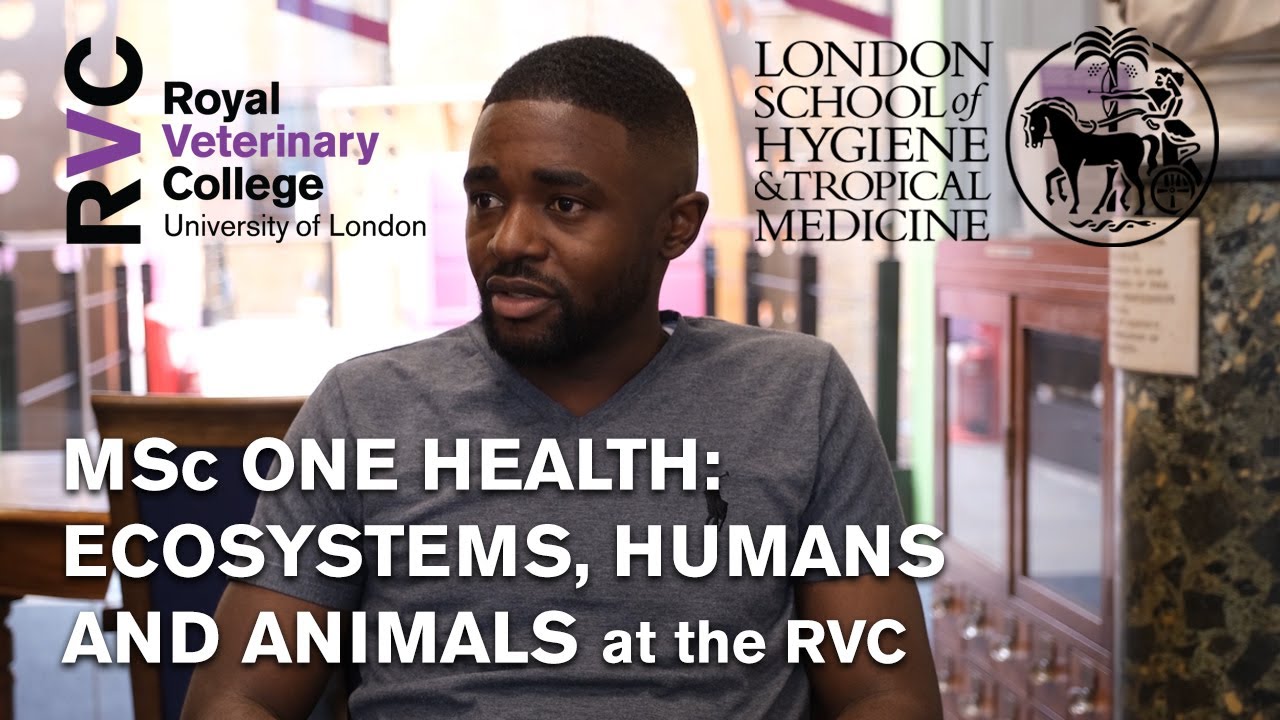 One Health Student Rvc One Health: ecosystems, humans and animals at the RVC - YouTube