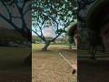 How to hit a stinger #shorts #tutorial #howto #stinger #putt #golf #hawaii