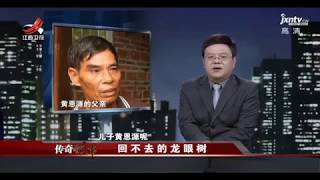 《传奇故事》 回不去的龙眼树 20170719