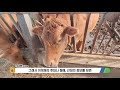 2021년 축산컨설팅 분야별 엄지척 선발대회 - 평택축협(종합 분야)
