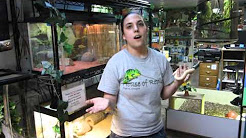 House of Reptiles, Portland, Oregon area - Reptiles and Amphibians Make Great Pets