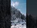 Today Kashmir #viral #shorts #india #kashmir #youtubeshorts #trending #shortvideo #explore