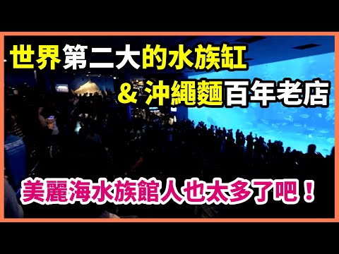 【沖繩旅遊Vlog】【EP3】美麗海水族館人真是爆炸多！黑潮之海真的非常壯觀！百年老店的岸本食堂很不錯！【Day3 上】【2017】