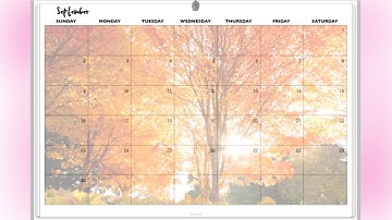 Noteshelf vs Goodnotes 4 for Digital Planning