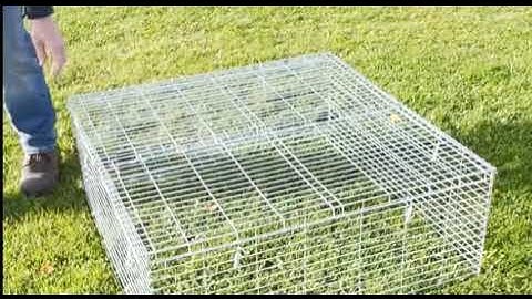 TrapMan Feral Cat Drop Trap Assembly