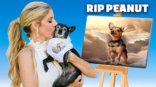 Our Dog Says Goodbye to Best Friend *emotional* by PawZam Dogs 1,465,457 views 9 months ago 8 minutes, 5 seconds