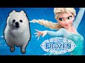 Frozen - 'Let it Go' em cachorrês