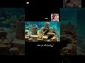 متحف تحت الماء تحب تتفرج عليه