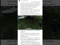 eu falo treis linguas makinho original de makakotugal, makakopanol y makakingles