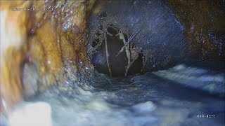 31 Rosemont Terr, West Orange, NJ Sewer inspection Video