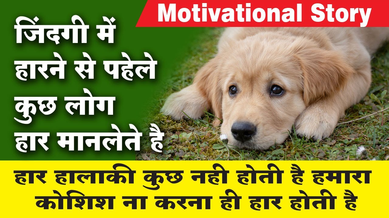 A Best Motivational Story on Never Give Up | MOST SAD DOG STORY😢| HEART ...