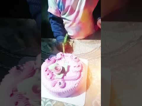 15 नवंबर 2025