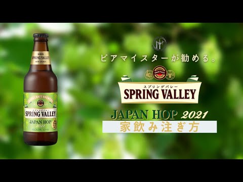 【季節限定】スプリングバレー・ジャパンホップのオススメ家飲み注ぎ方！