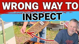 Beekeeping Inspection | 5 Wrong Ways To Inspect Your Hive