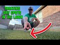 How to treat dry spots in the lawn