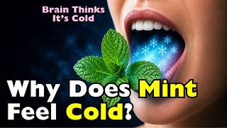 Why Does Mint Feel Cold? Even Though It Isn’t