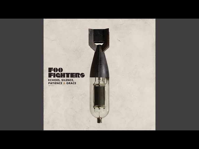 Let It DieFoo Fighters