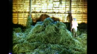 Green Hay  1947