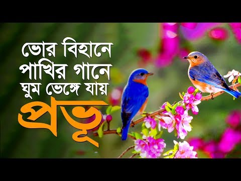 Islamic Song: Vor Bihane | Notun Vor | Bangla gozol by Jagoron Shilpigoshthi Islamic Song: Vor Bihane | Notun Vor | Bangla gozol by Jagoron Shilpigoshthi