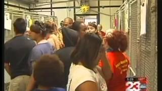 Free Animal Adoption Day A Success