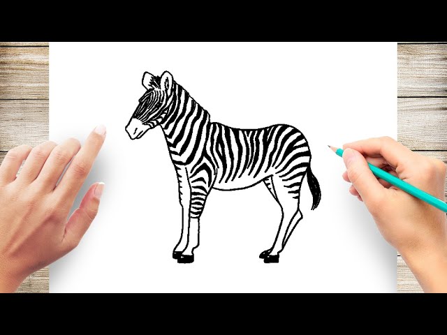 Zebra Rasm How To Draw A Zebra Head Step By Step For Kids