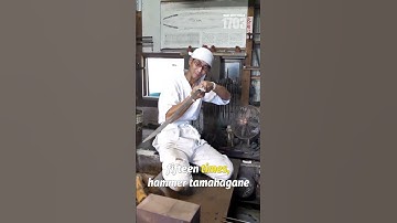 The Last Guardians: Japan