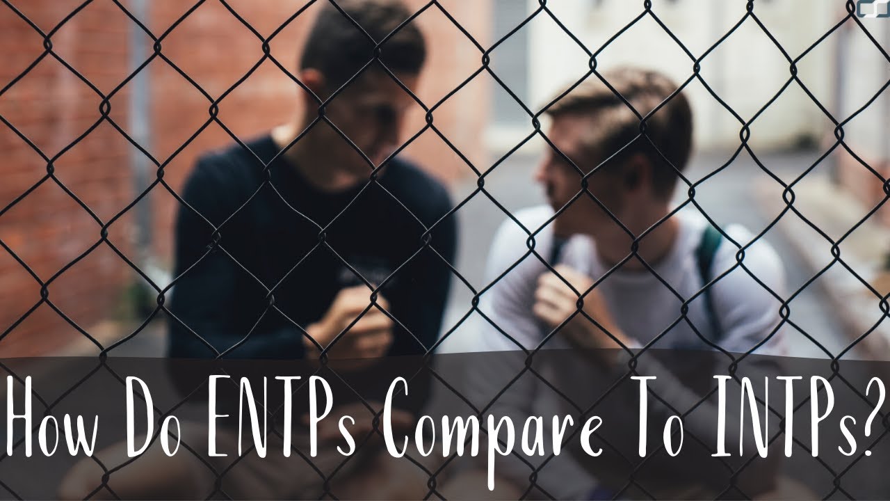 Entp male dating