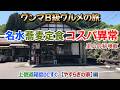 神コスパ【名水そば】天ぷら・小鉢・饅頭まで全部うまい。箱島ICすぐ。
