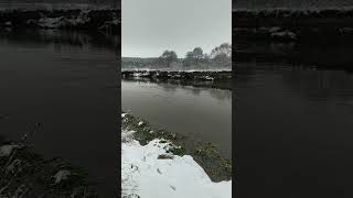 Река Свислоч в Беларуси в зимнее время. Отдых, прогулки.27.11.2022