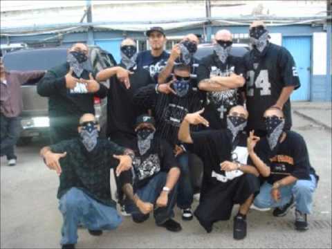 Tripeando En El Reegal Video