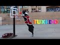 Dog wearing sneakers plays basketball, slam Dunk