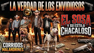 Bola de Perros Sarnosos🔥corridos endiablados con banda(el...