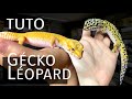 Tuto installer un gecko lopard