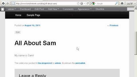 Video 5 - How to Create New Blog Posts.avi