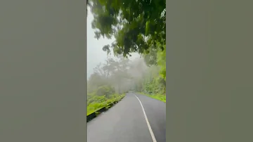 roadways, greenry, nature, relaxing, peace, forests, meadows, mountains, #shortsvideo  @Jungle_gi