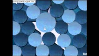 Hoshi Saga Ringoen 6 Solucion