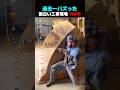 過去一バズった ! ? 面白い工事現場 TOP5