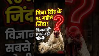 Bina Sir Ke 18 Mahine Zinda Raha Ye Murga! 😱 #KnowledgeTop