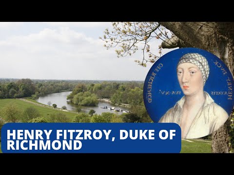 Video: Hvornår blev finisterre fitzroy?