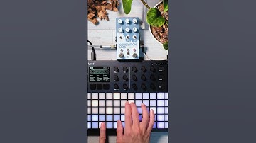 Creating Lo-Fi Vibes｜Polyend Synth + Chase Bliss Gen Loss MKII　#shorts