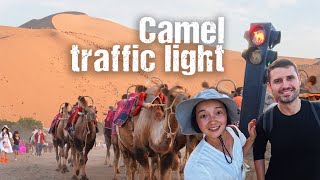 China's GOBI DESERT  Dunhuang, the oasis where CAMELS have their own TRAFFIC LIGHTS  | S2, EP44