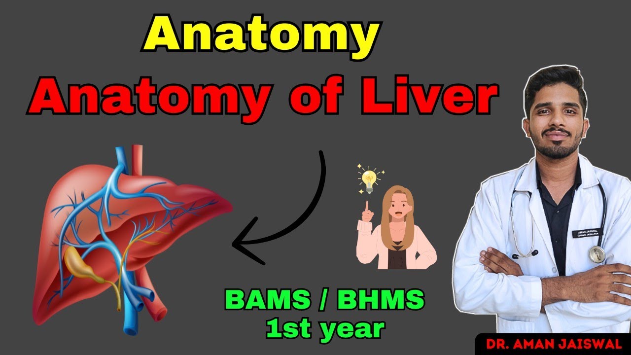 anatomy-of-liver-part-1-bams-bhms-1st-year-bams-bhms