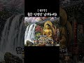 마음이 편안해지는 명상91 #명상 #법구경 #불교명상 #석가모니 #지혜 #철학