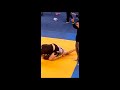 No gi greek nationals 2017